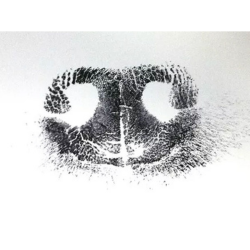 Ink Nose Print