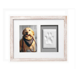 Wall Frame with Paw Print - Distressed