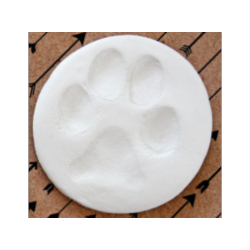 Clay Paw Print