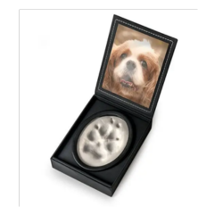 Clay Paw in Picture Box