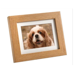 Tribute Frame Urn